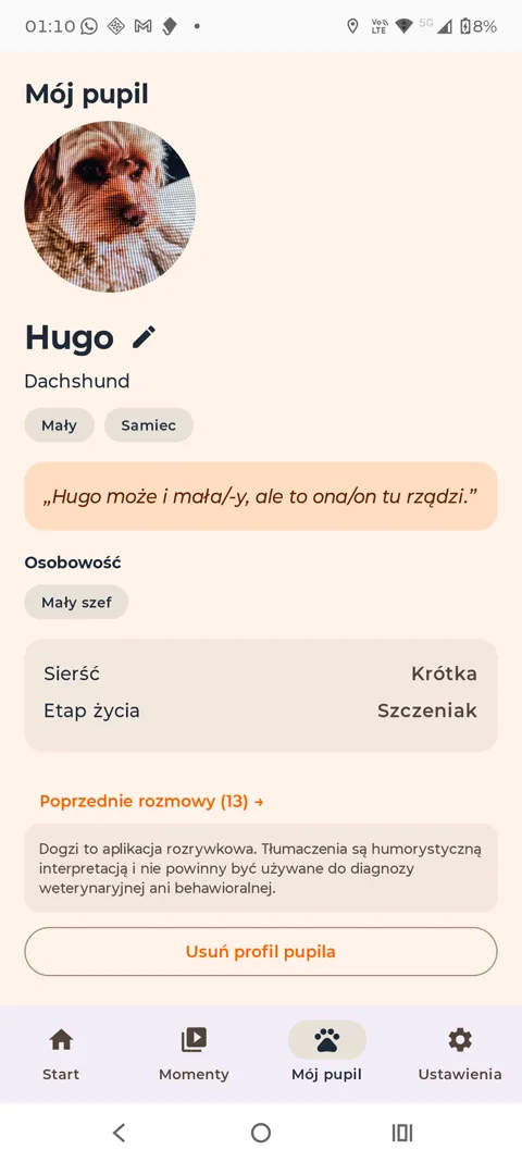 Profil pupila Hugo rozpoznany ze zdjęcia: jamnik, mały, samiec